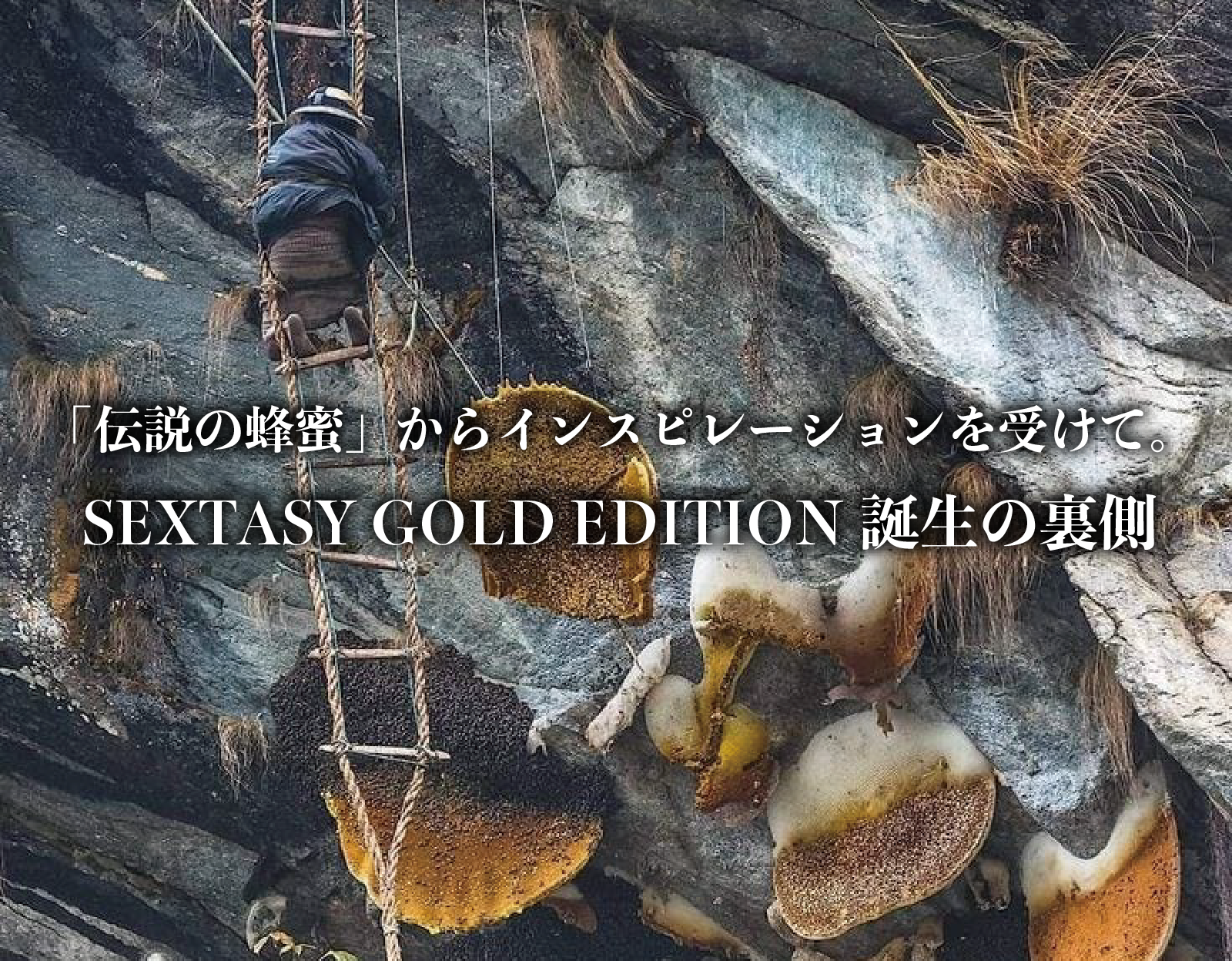 「伝説の蜂蜜」からインスピレーションを受けて。SEXTASY GOLD EDITION 誕生の裏側 | SEXTASY®︎ セクスタシー